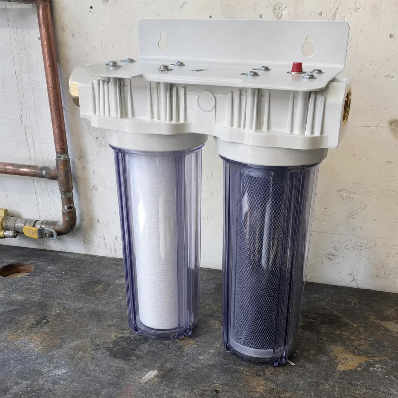 Dual sediment and carbon filter canisters